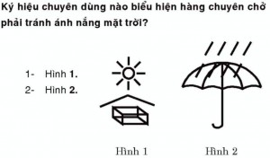 Cấu tạo, công dụng động cơ ô tô và đèn cảnh báo (Phần 5)